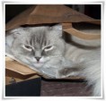 /album/benson/benson-201409191-jpg/